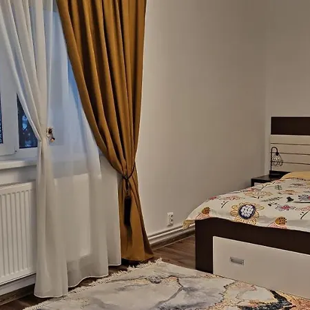 Atena Apartment Petrosani